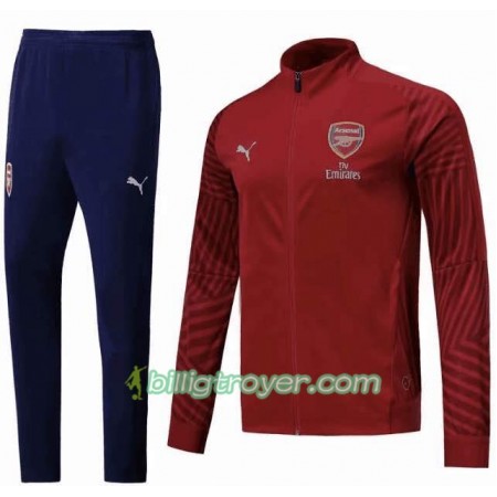 Arsenal Treningsdresser Rød 2018/19